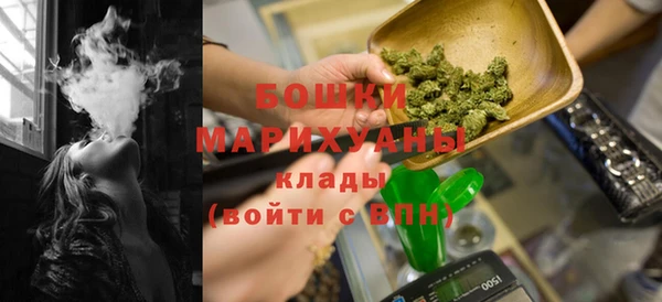 ГАЛЛЮЦИНОГЕННЫЕ ГРИБЫ Белокуриха