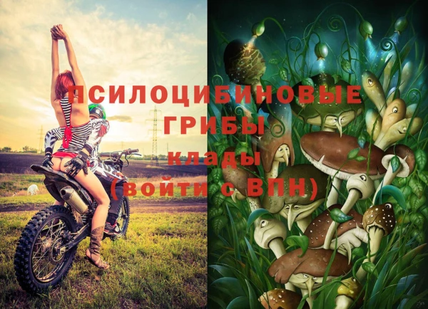 мет Приозерск