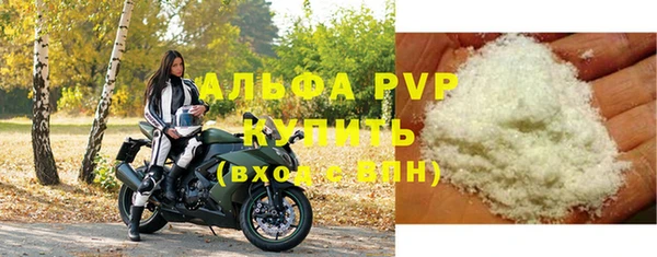 ГАЛЛЮЦИНОГЕННЫЕ ГРИБЫ Белокуриха