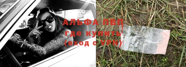 ГАЛЛЮЦИНОГЕННЫЕ ГРИБЫ Белокуриха
